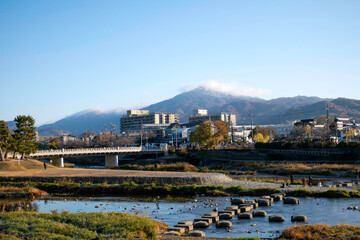 Naklejka premium Kamo River, Kyoto, Japan, 鴨川, 京都, 日本, 