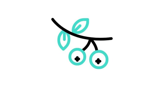 illustration of a bird