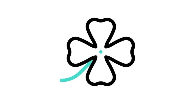 four leaf clover isolated