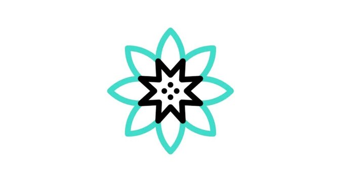 black and white butterfly