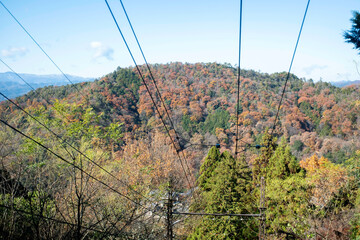 Autumn Leaves in Kyoto, Japan 紅葉　京都　日本