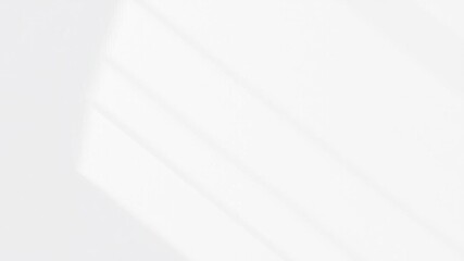 Realistic shadow effect of a plant casting onto a plain white wall background, texture, aesthetic, graphic