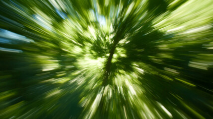 Nature abstract with blurred green foliage and sunlight filtering through tree branches