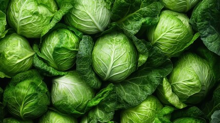Fototapeta premium A collection of fresh cabbages with vibrant green textures piled together, highlighting the richness of organic produce and the natural beauty of vegetables.