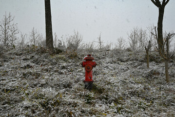 red fire hydrant on snowy hill