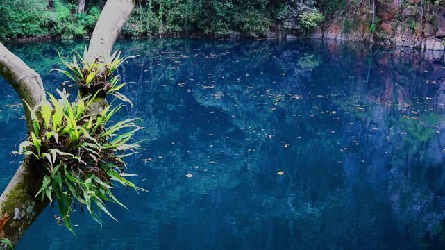 Camera tilting up view of natural Sinkhole name Lom Phu Khiew Blue Lake in Ngao District, Lampang Province, Thailand.