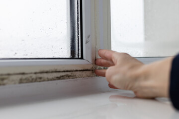 Woman touching the wet window with black mouldy fungus. Closeup.