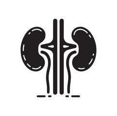 Obraz premium Kidney Icon silhouette vector illustration