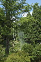 Fototapeta premium 宮城県 鬼首かんけつ泉 Onikobe Springs, Miyagi Prefecture