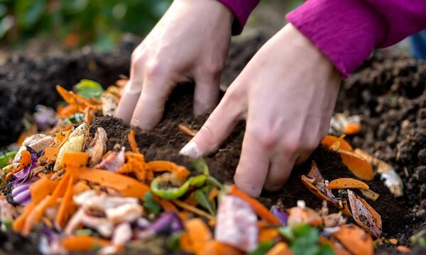 Hands mixing compost with vegetable scraps for gardening.