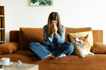 Young woman suffering from pet allergy, blowing nose with napkin while sitting on sofa with her...