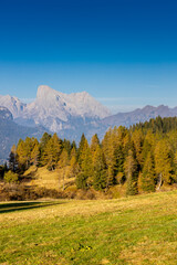Obraz premium Autumn mountains. Alps in autumn colors. Dolomites beautiful yellow tree leaves autumn landscape. Alpine scenery of golden autumn