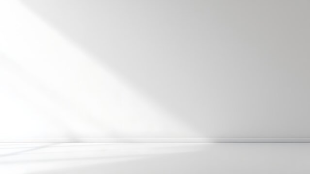 Background wall floor shadow grey leaf white light kitchen abstract studio product minimal room marble mockup display stage scene platform shelf space pattern backdrop table product summer travel.