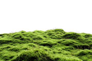 Green moss growing on a hill, isolated on a transparent background, perfect for nature, environmental, or landscape-themed designs.