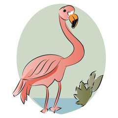 Flamingo Bird Cartoon Vector Illustration