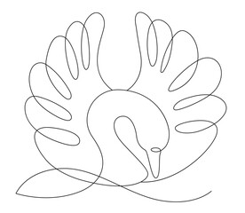 Swan in water line, continuous one line drawing of mute swan, continuous line drawing of a swan gliding on water