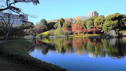 秋の小石川後楽園