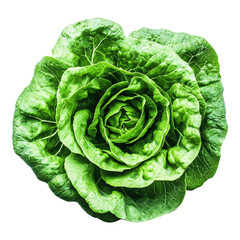 Fototapeta premium A green lettuce, isolated on a transparent background, perfect for food, healthy eating, or vegetable-themed designs.