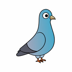 pigeon