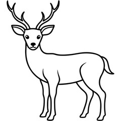 silhouette of a deer