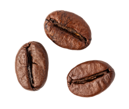roasted coffee beans on transparent background. png file