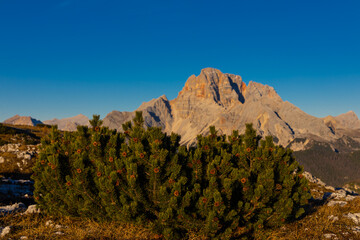 Autumn mountains. Alps in autumn colors. Dolomites beautiful yellow tree leaves autumn landscape. Alpine scenery of golden autumn