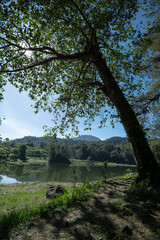 Patenggang Lake View with its reflection and Hill and  sky on the Background