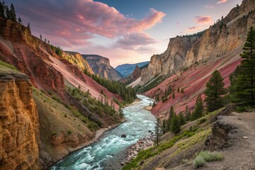 beautiful nature
