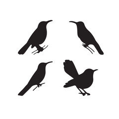 Bird Silhouette Collection, Black Bird Clipart Set for Nature Designs.eps