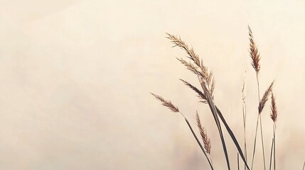Soft Minimalist Gray Canvas with Elegant Grass