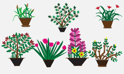 Colorful flowers garden illustration Vector design