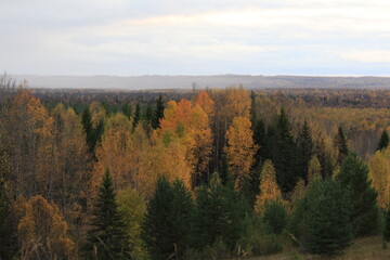 autumn forests of northeastern Europe
