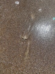 water drops on the sand