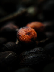 Macro Close-Up of Fresh Coffee Beans