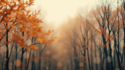 Obraz premium Autumnal Woodland Path Soft Focus Image of Trees with Orange Leaves and a Misty Atmosphere