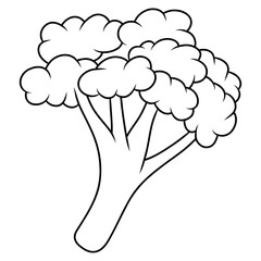 illustration of a vegetable brocolli