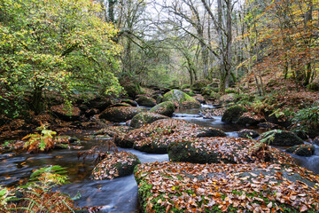 Le chaos de Huelgoat en automne, avec ses rochers moussus bordant une rivi&egrave;re paisible sous une lumi&egrave;re dor&eacute;e.