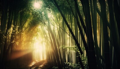 Bamboo forest at sunrise, banner