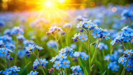 Fototapeta premium Vibrant blue wildflowers bathed in warm sunlight, a picturesque springtime meadow scene