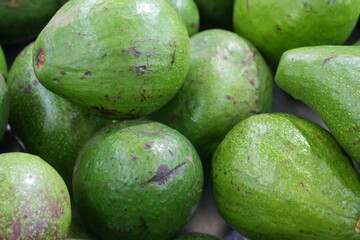 Avocado (Persea americana) is a creamy-textured fruit native to Central and South America, valued for its rich flavor and numerous health benefits. 
