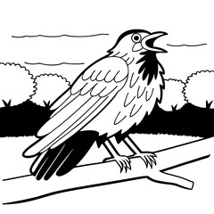 Obraz premium bird on a branch