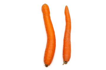 Two Carrots for Counting Exercise on White Background