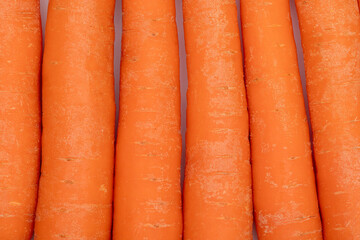 Carrot Texture Background – Vibrant Orange Vegetable Design for Slides and Presentations