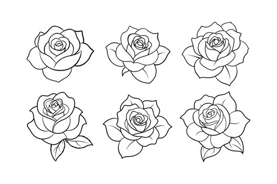 rose flower line art vector illustration