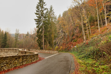 Naklejka premium Kurvenverlauf der Heidelbachstraße mit historischer Steinmauer vor einer herbstlichen Felswand im Zschopautal, Wolkenstein, Erzgebirge, Sachsen, Deutschland 