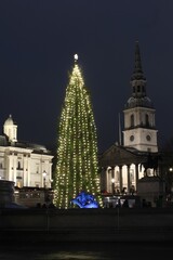 Fototapeta premium Norwegian Christmas Tree, Trafalgar Square, London.