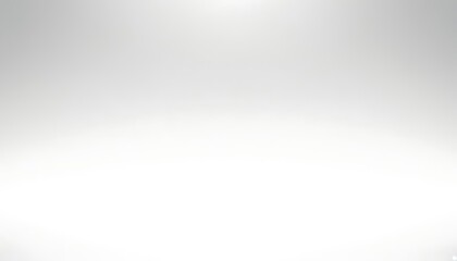 Fototapeta premium White and gray horizontal background Neutral Color Studio Background Studio backgrounds, black and white grey,5