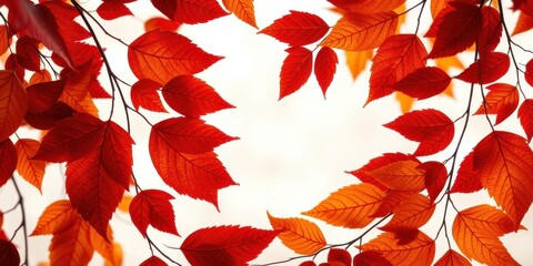 Vibrant Autumn Leaves Frame a Soft White Background, Perfect for Seasonal Designs and Fall-Themed Projects
