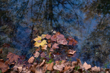 Reflejos de otoño, parque Fuentes del Marqués de Caravaca de la Cruz