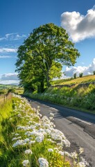 Scenic springtime countryside road adorned with lush blooming trees and serene landscapes